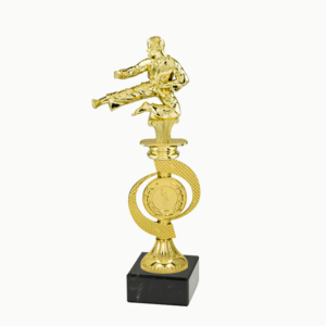 T301 Arte Martiale